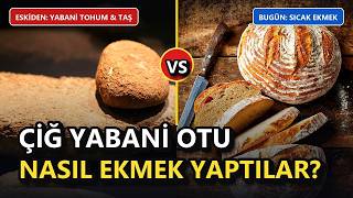 Fırın ve Un Yokken İlk İnsanlar Ekmeği Nasıl İcat Etti? | Zehirli Tohumlardan İl