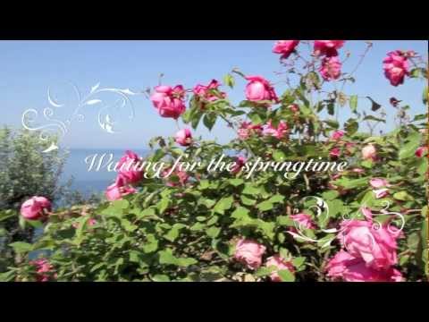 Harvest moon - Cassandra Wilson - Waiting for the springtime