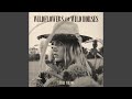 Wildflowers And Wild Horses