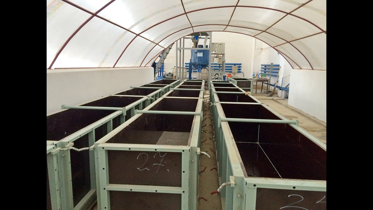 Automated cellular lightweight concrete blocks plant and machinery