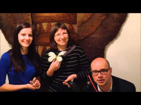 Video sveicīni grupai "Bez PVN" 10 godu jubilejā