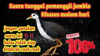 Download lagu Yang muda pasti merapat‼️Suara pikat pemanggil ruak-ruak muda mp3