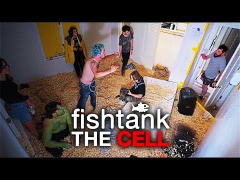 1 room, 1 Camera | Fishtank: Cell