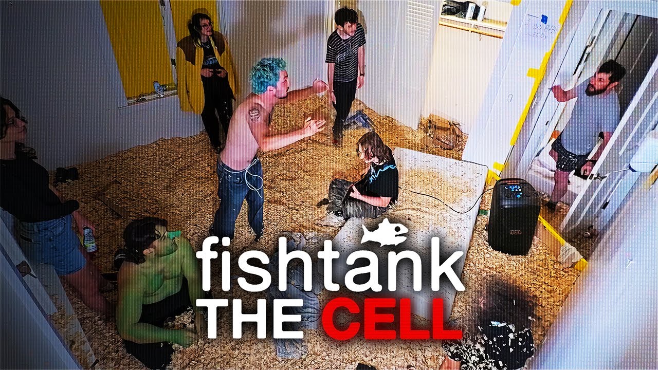 1 room, 1 Camera | Fishtank: Cell