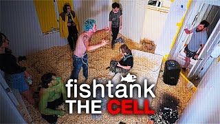 1 room, 1 Camera | Fishtank: Cell