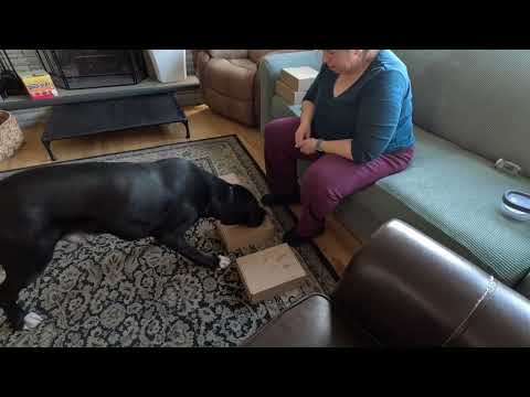 110623 Rocky scent work