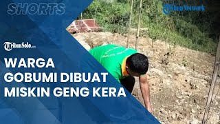Berita Solo Hari Ini: Teror Geng Kera Buat Miskin Warga Dukuh Gobumi