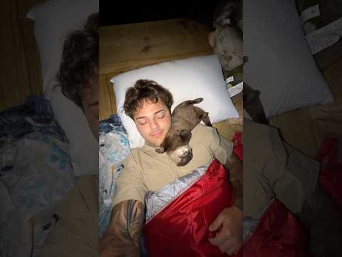 Spending the night in my baby otter Lola’s enclosure😅