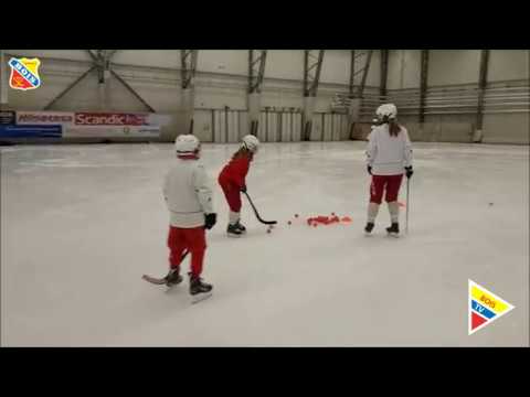 170901 Kickoff Uppsala BoIS