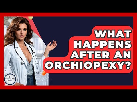 What Happens After An Orchiopexy? - The Operating Table