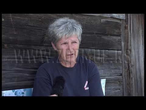 Projektom do farme koza u Semegnjevu