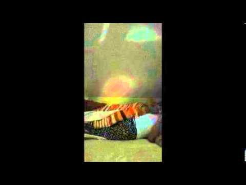 "winden" Deutschfilm Norbertusgymnasium 2013