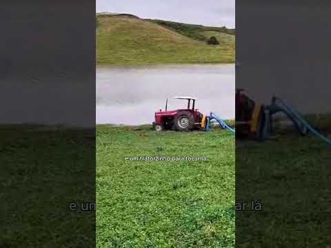 Produtor do RS mostra pastagem de trevo irrigada: "problemas com a seca não vamos ter mais"