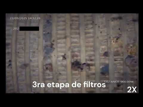 Extracto 202 - 25 De Mayo - San Juan