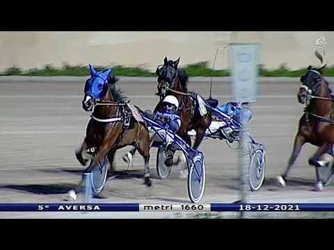 Aversa trotto 18 Dicembre 2021 - 5° Corsa