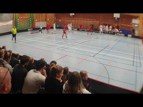 IBF Hedemora - Lokomotiv Avesta Highlights