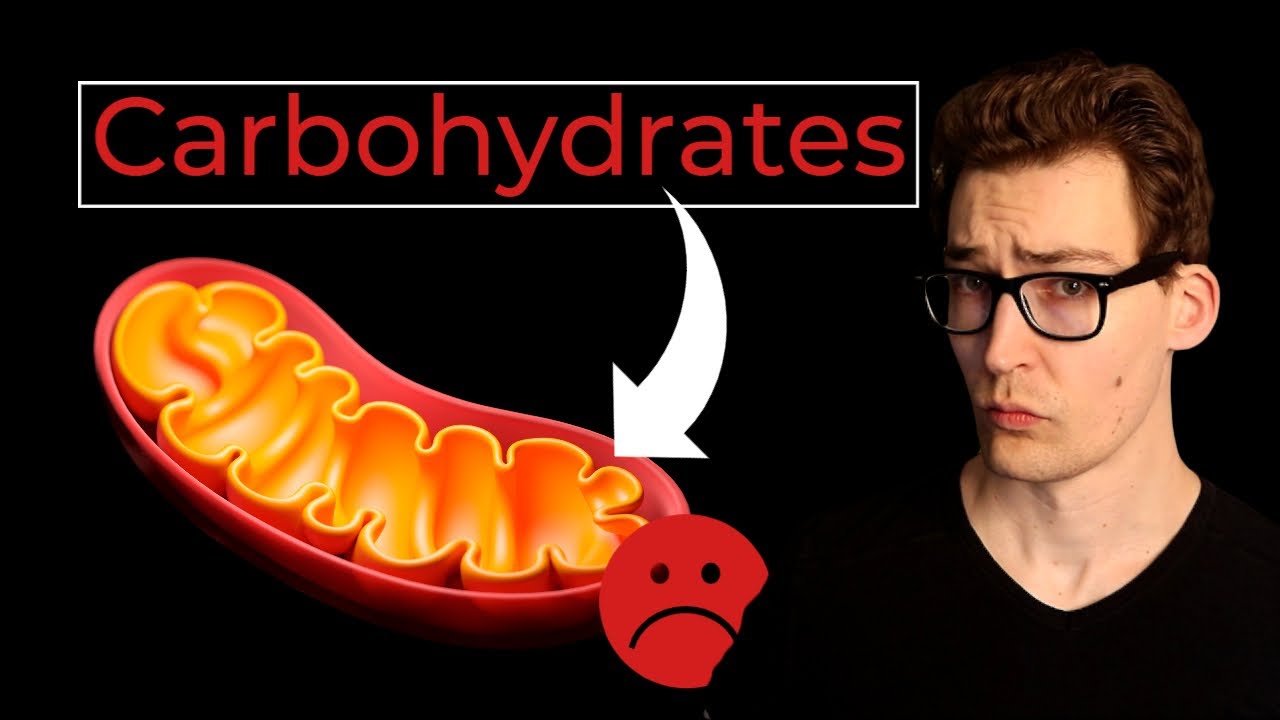 Carbohydrates: Do they let your Mitochondria Breathe? [Study 34]