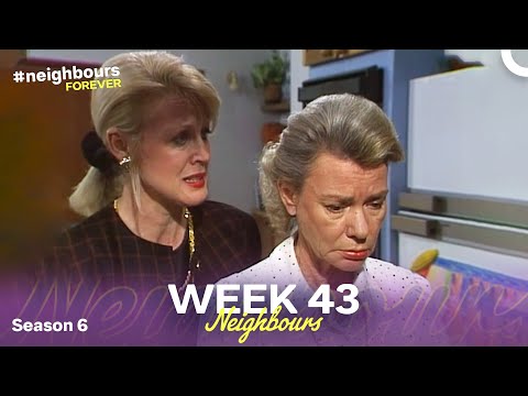 Week 42 | Episodes 1240 - 1242 | Neighbours 1990 (Season 6)