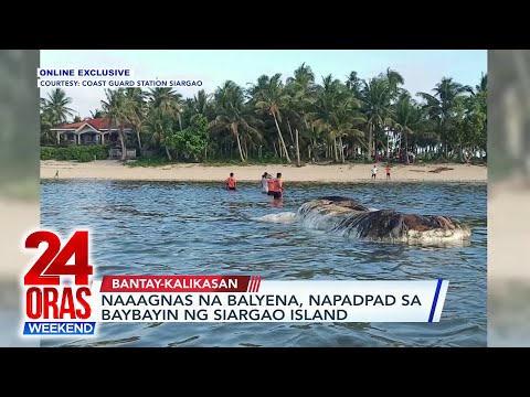 Naaagnas na balyena, napadpad sa baybayin ng Siargao Island 24 Oras Weekend