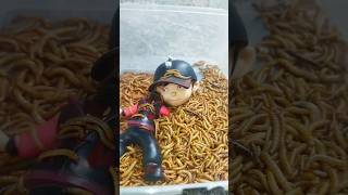 Download lagu Sad BoBoiBoy Halilintar Attack by Mealworm. #worms #shorts #boboiboy mp3