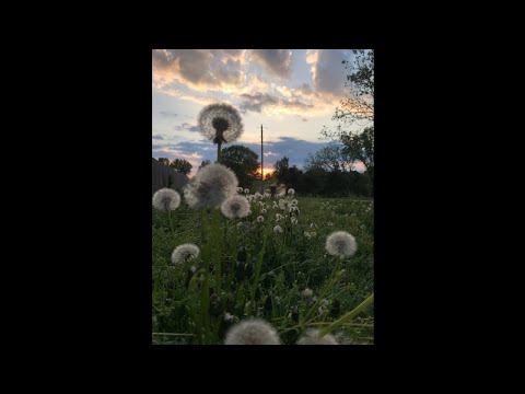 SOLD Lil Peep x Nothing Nowhere x Guardin Type Beat "Walk Around" (prod. Taurs)