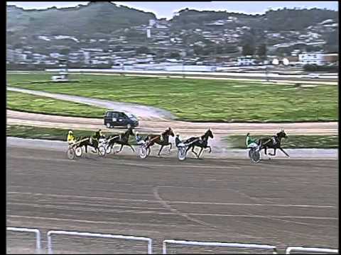 Trotto 26/03/2015 - 4° corsa