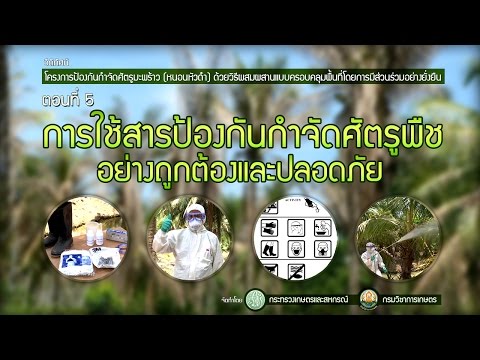 เพิ่ม Penis Extender Castoreum ความแรงเพิ่มขึ้น