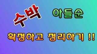 [텃밭농부.635]  수박 아들순 확정하고 정리하기