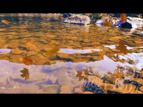 #ninnagungallilyricalvideo #ninnagungallisong  Ninna Gungalli | Lyrical Video| Shrinath Malkannavar