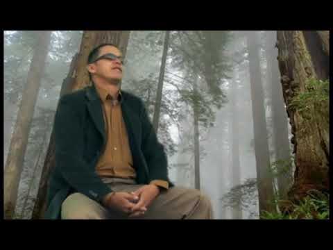 Danilo ordoñez, el vive