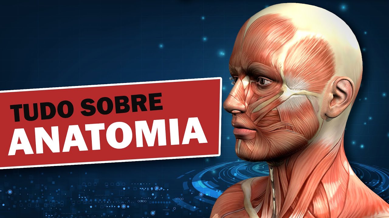O Que é Anatomia Radiológica O Que é Anatomia Radiológica