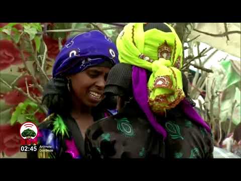 Qophii Imala gaazexeessaa 23 07 2012