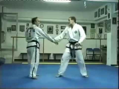 Master Vasilis Alexadris 8th Degree Taekwon-Do ITF Self Defence