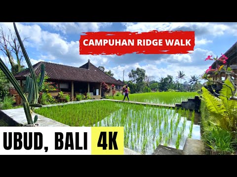 UBUD, BALI, INDONESIA 🇮🇩 [4K] Campuhan Ridge Walk