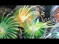 Sleeping at Last - North 