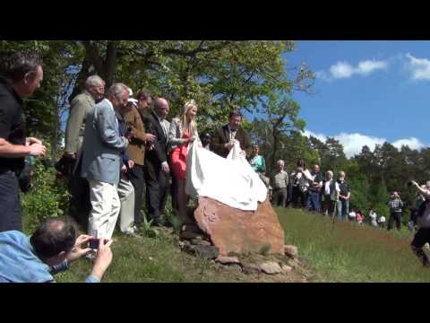 2013-05-18-MÜLLER-THURGAU-SENDELBACH