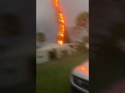 #rayo destroza un #arbol