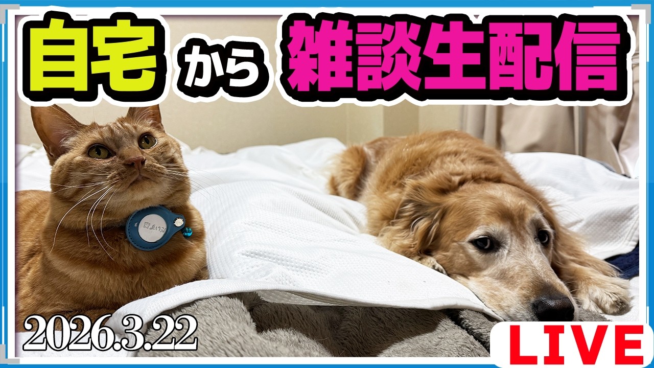 おやつでも食べながら雑談ライブ！