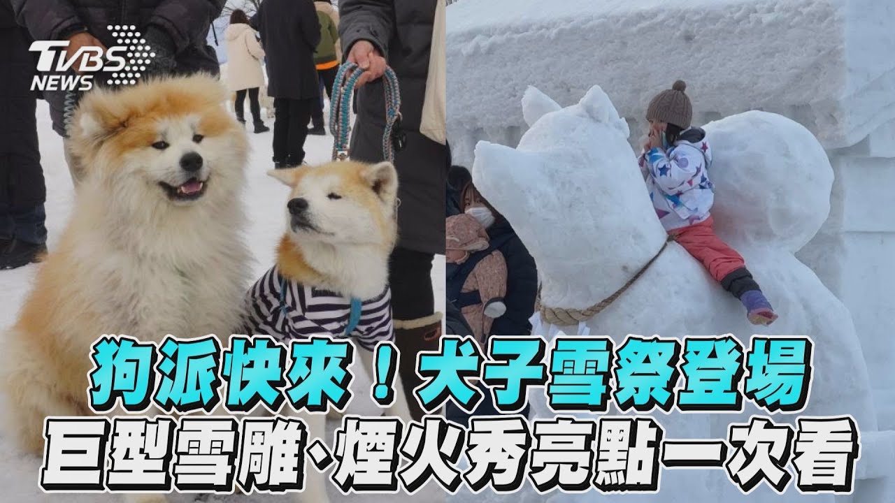 狗派快來!犬子雪祭登場「巨型雪雕、煙火秀」亮點一次看