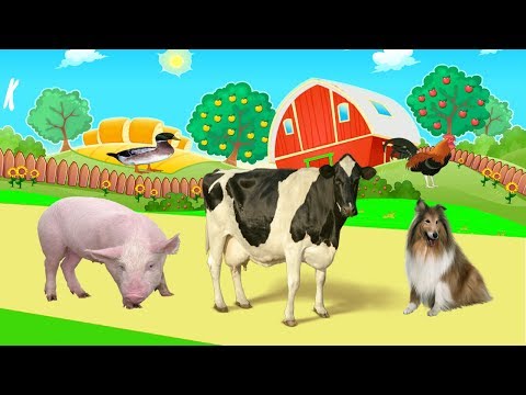 Dierengeluiden Voor Peuters Video 3D | dieren filmpjes boerderij ,dieren filmpjes jungle,wilde