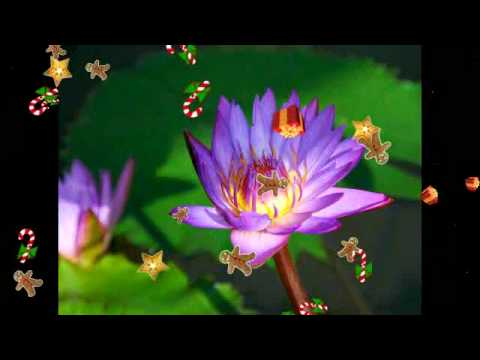 Excellos Five - When the one you love loves you