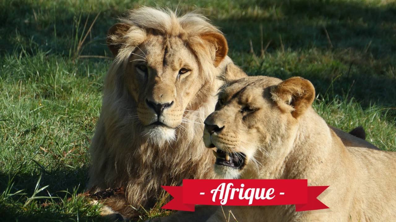 Parc de l&#39;Auxois