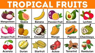 Tropical Fruits Name | Fruits Vocabulary | Names of Tropical Fruits | English Vocabulary
