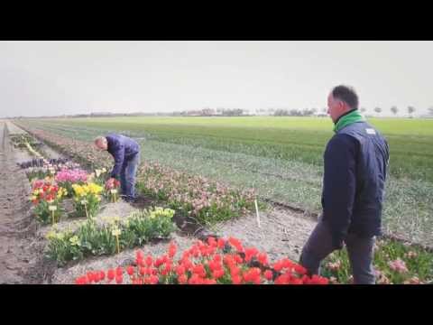 One Firm Agrifirm: Brandfilm