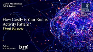 How Costly is Your Brain's Activity Pattern - Dani Bassett