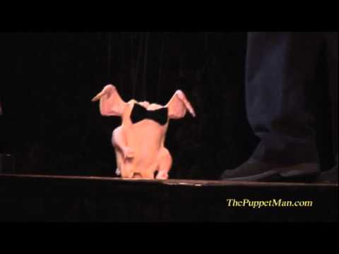 SAL MONELLA for President - Scott Land