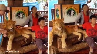 Artis Malaysia Sindir soal Pengunjung Senang Berfoto Bersama Hewan yang Dibius