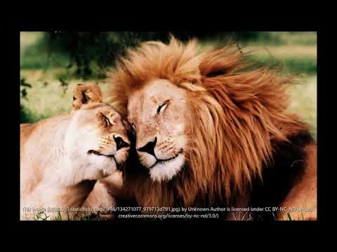 HADAWATHIN SENEHASA PURA