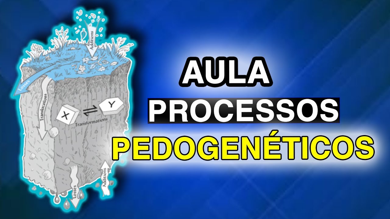 Aula Processos Pedogenéticos de Formação do Solo