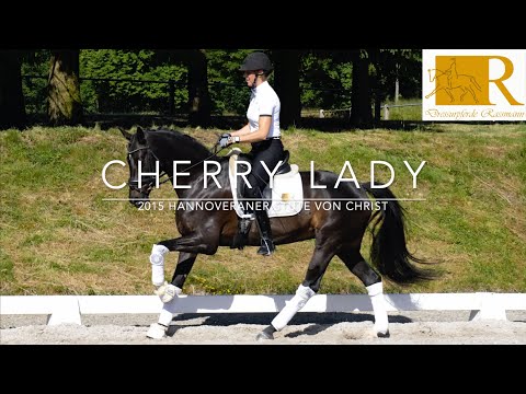 Dressur-/Freizeitpferd - 2014 Hannov. Stute von Christ, Stm. ca. 1,64, A/L-Dressur - Cherry Lady